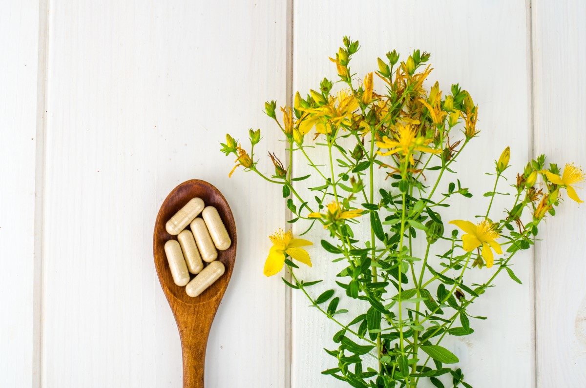 Fitofármacos (medicamentos à base de plantas) 